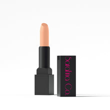 Load image into Gallery viewer, Lipstick-8182